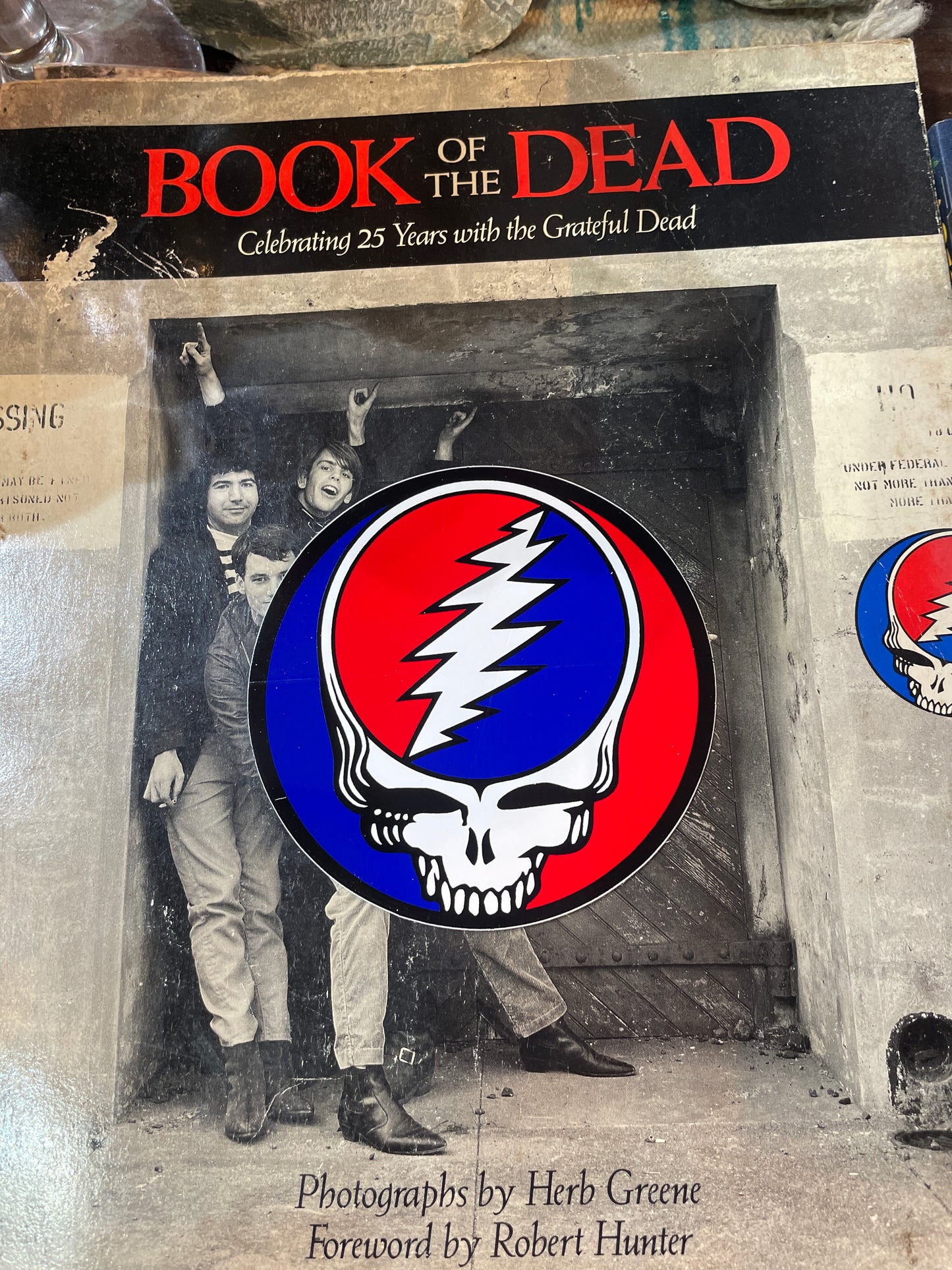 Grateful Dead S.Y.F. Sticker #2