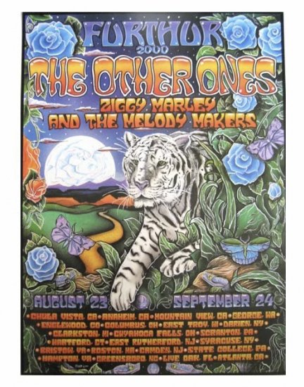 FURTHUR 2000 THE OTHER ONES
